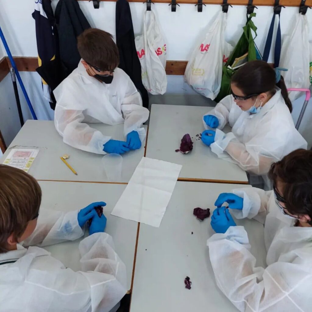 Visita al Colegio Claret — imagen 2